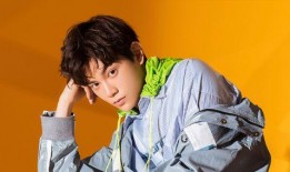 娱乐大爆料丁禹兮,娱乐大爆料中的璀璨新星