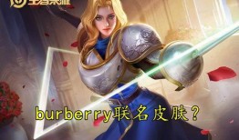 夏洛特爆料真假视频播放,揭秘真相背后的网络迷局