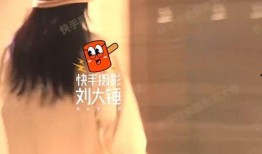 刘大锤爆料王楚然视频,事件背后真相揭秘