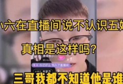 网友爆料五嫂事件真相视频,揭秘背后惊人内幕
