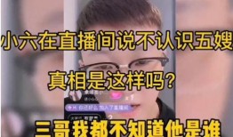网友爆料五嫂事件真相视频,揭秘背后惊人内幕