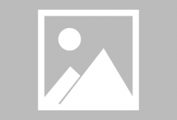 河南菜市场爆料新闻事件,真相揭秘，引关注