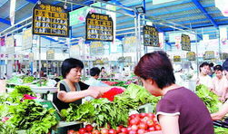 河南菜市场爆料新闻事件,真相揭秘，引关注