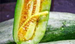 网红小希吃瓜,网红小希带你吃遍娱乐圈大瓜