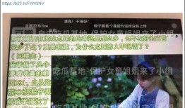老刘爆料王伟恒视频全集,老刘爆料视频全集深度解析