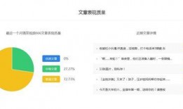 搞笑自媒体视频爆料,笑料百出！揭秘搞笑自媒体视频幕后趣事