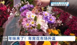 今日头条花卉爆料,花卉界的最新潮流与趋势