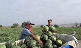 廊坊吃瓜视频最全免费观看,免费观看，一网打尽热门瞬间