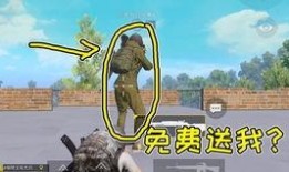 端游吃鸡衣服爆料视频,爆料视频带你领略时尚与实力的完美融合