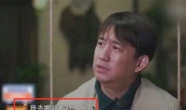 黄磊爆料别人视频大全下载,揭秘热门视频大全下载幕后真相