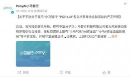 美团都市爆料视频在哪看,一键掌握最新动态