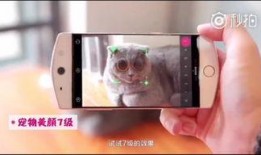 中国手机爆料视频,视频曝光惊人功能与设计
