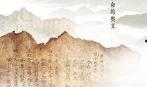 本草中国 在线观看,探寻中华医药瑰宝之旅