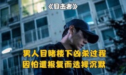 沉默的目击者在线观看,沉默的目击者在线观看全解析