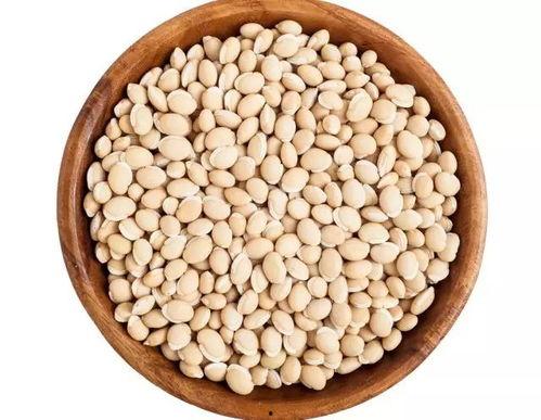 娱乐吃瓜又吃豆,吃瓜吃豆，揭秘娱乐圈幕后故事